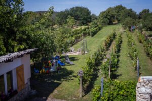 TokajskýDomček-11